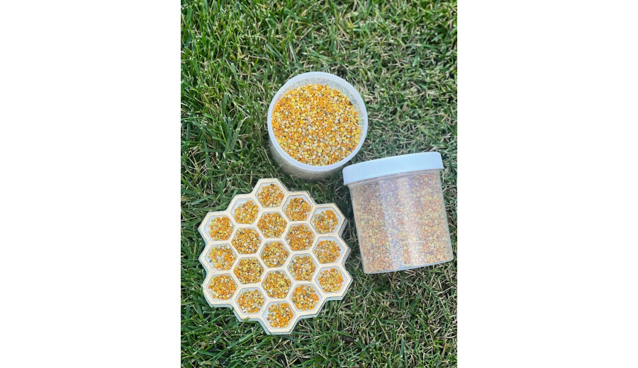 Мед, стільники, пилок, прополіс, віск -