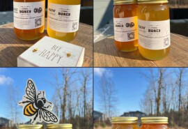 Мед, стільники, пилок, прополіс, віск