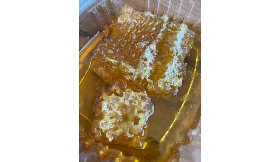 Мед, стільники, пилок, прополіс, віск -