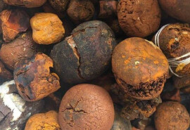 Buy cow /Ox Gallstone Available On Stock Now @ (WhatsApp: +237673528224)