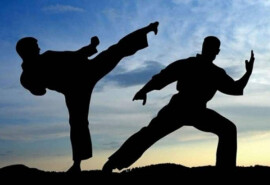 BC International Martial Arts & Fitness - єдиноборства