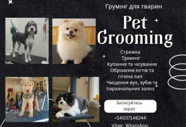 Послуги грумера