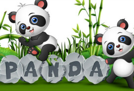 Panda Daycare - дитячій садкок